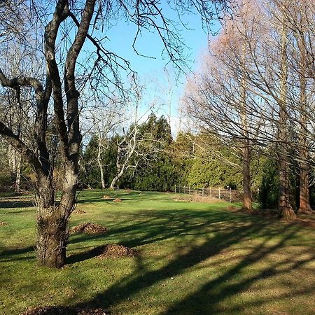 Enclave Inn Bridgehampton Dış mekan fotoğraf